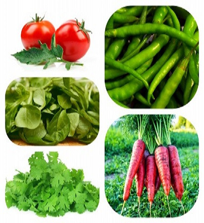 Vegetable Combo